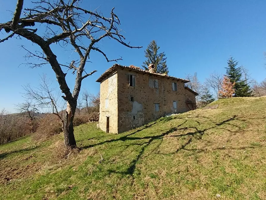 Immagine 6 di Rustico / casale in vendita  a Zocca