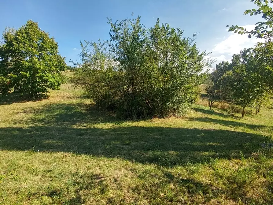 Immagine 11 di Rustico / casale in vendita  in via buzzeda a Guiglia