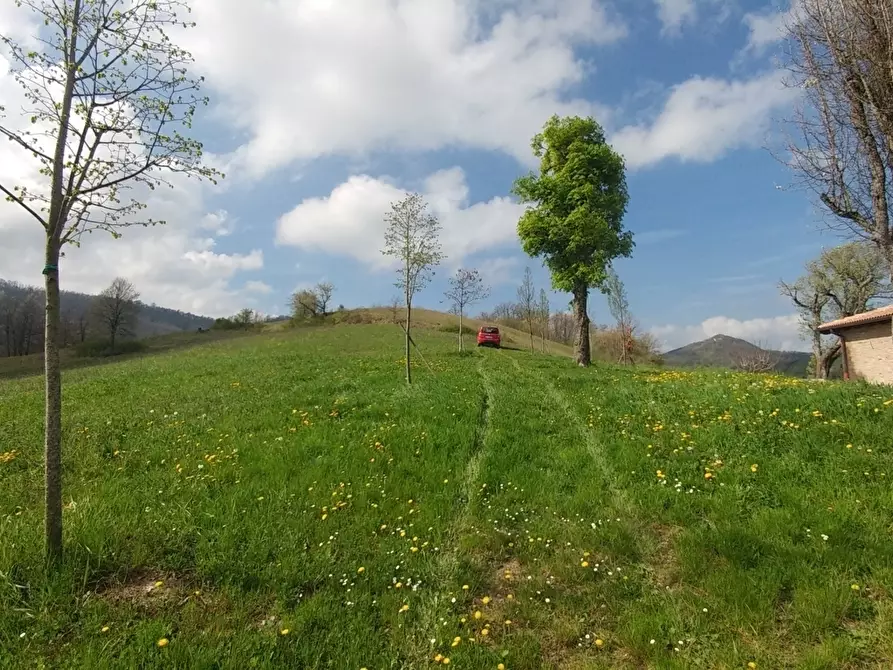Immagine 43 di Rustico / casale in vendita  in via Canobbi 8 a Castel D'aiano