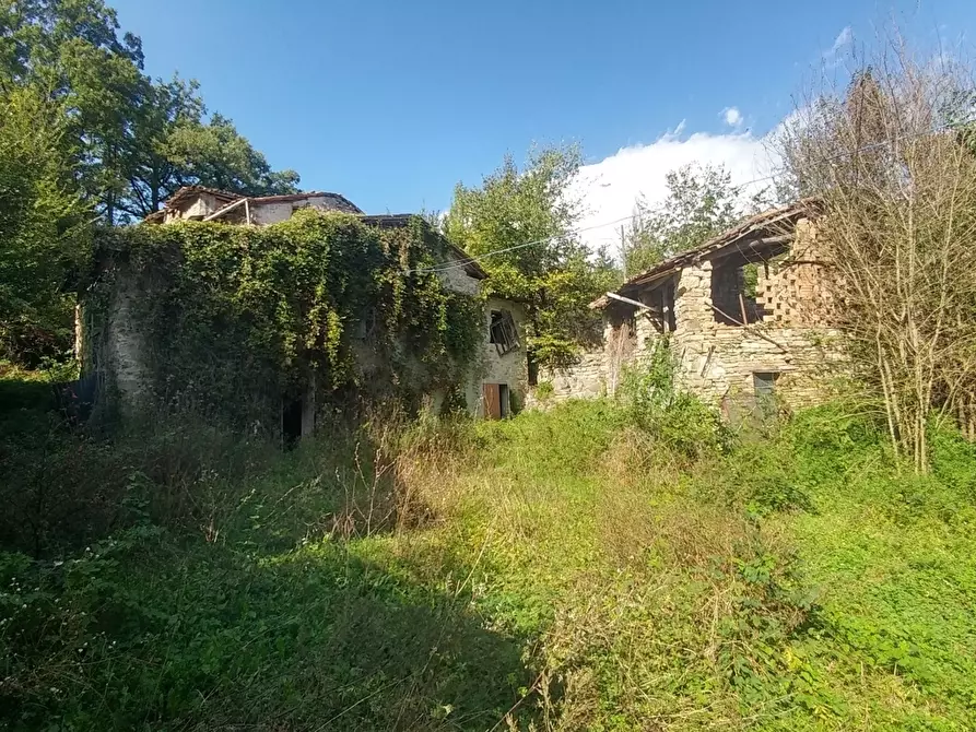 Immagine 1 di Rustico / casale in vendita  in via Selve 3205 a Zocca