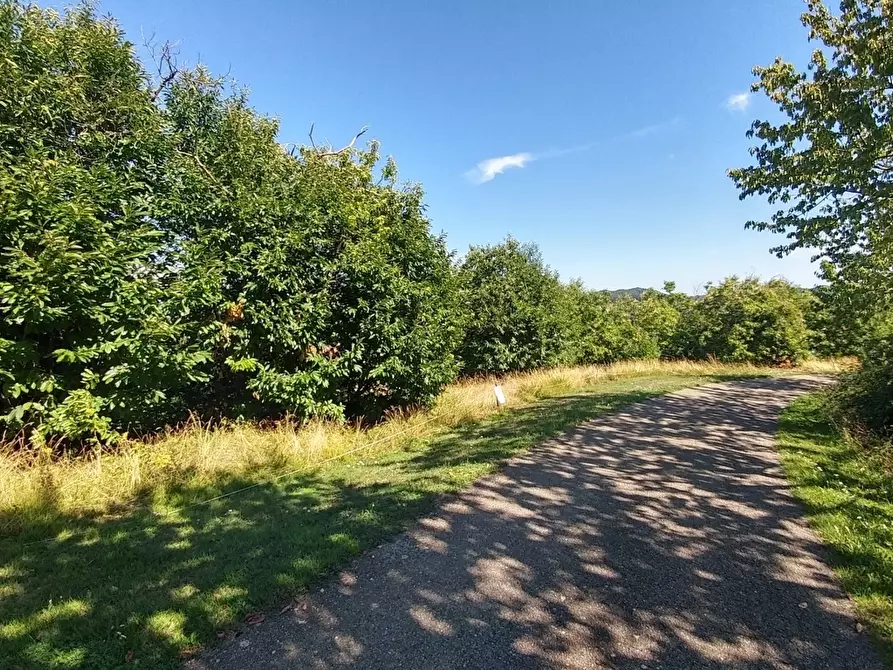 Immagine 51 di Rustico / casale in vendita  in Via Montalto Vecchio 801 a Montese