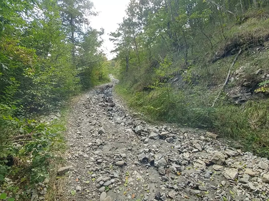 Immagine 28 di Rustico / casale in vendita  in via Selve 3205 a Zocca
