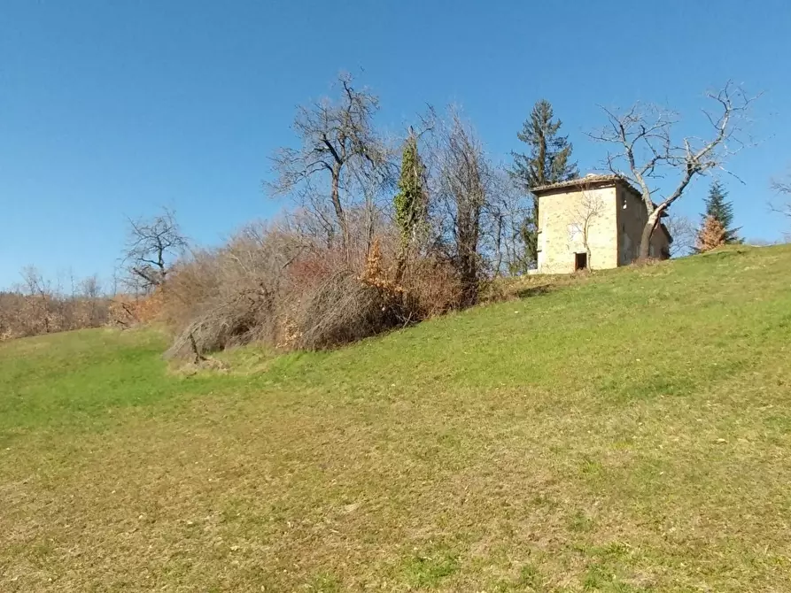 Immagine 16 di Rustico / casale in vendita  a Zocca