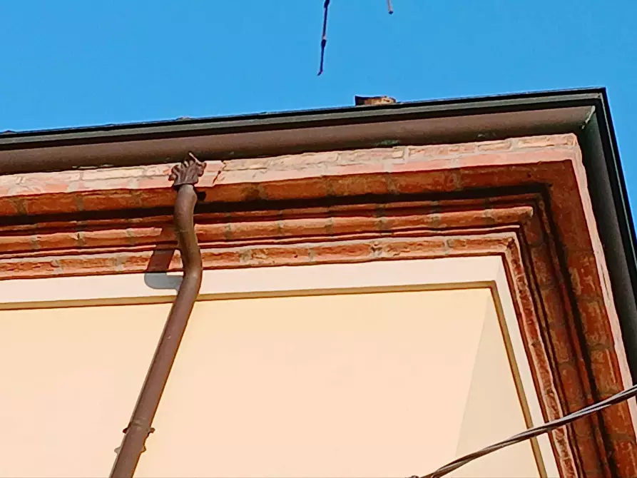 Immagine 8 di Villa in vendita  in Via Modenese 1205 a Vignola