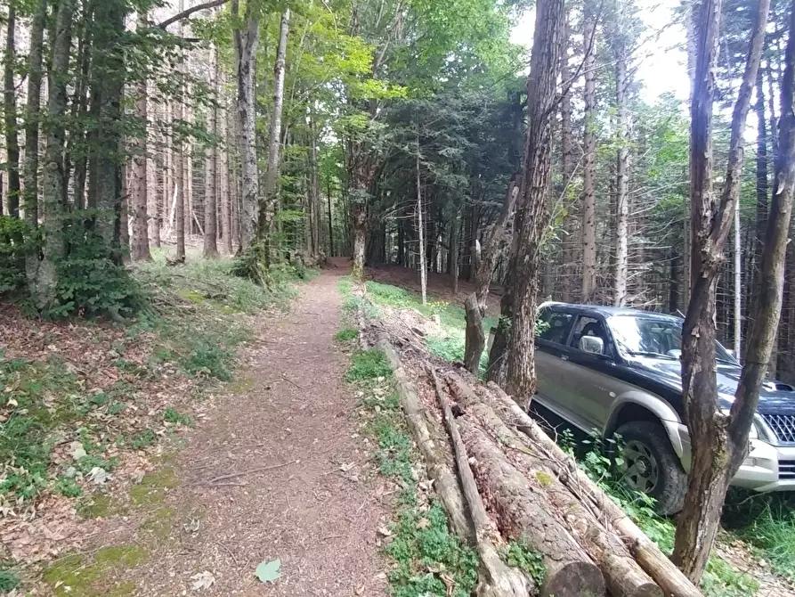 Immagine 32 di Rustico / casale in vendita  in Via Cà Zucchi 1294 a Fanano