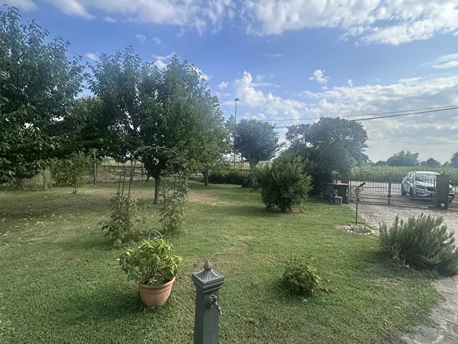 Immagine 2 di Villa in vendita  a Rovigo