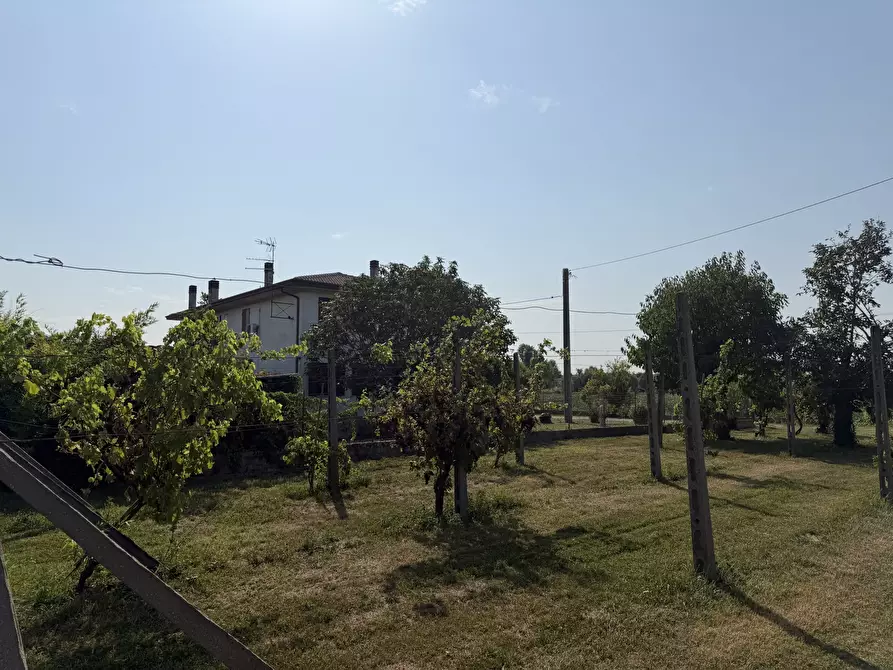 Immagine 5 di Casa indipendente in vendita  in Via Fossello a Lendinara