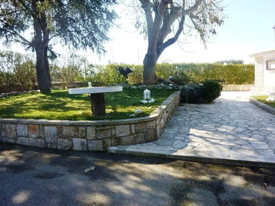 Immagine 10 di Bar / Ristorante in vendita  in C.da Casalini a Locorotondo