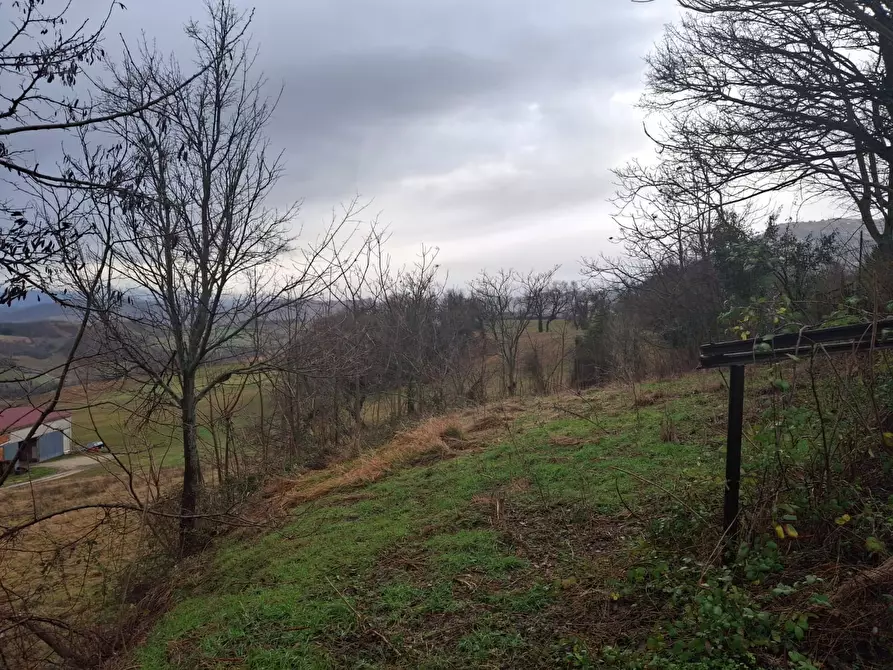 Immagine 5 di Casa indipendente in vendita  in Località Monterotto 81 a Montecopiolo