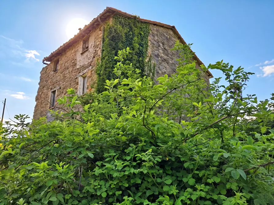 Immagine 6 di Rustico / casale in vendita  in Località Valle 6 a Sant'agata Feltria