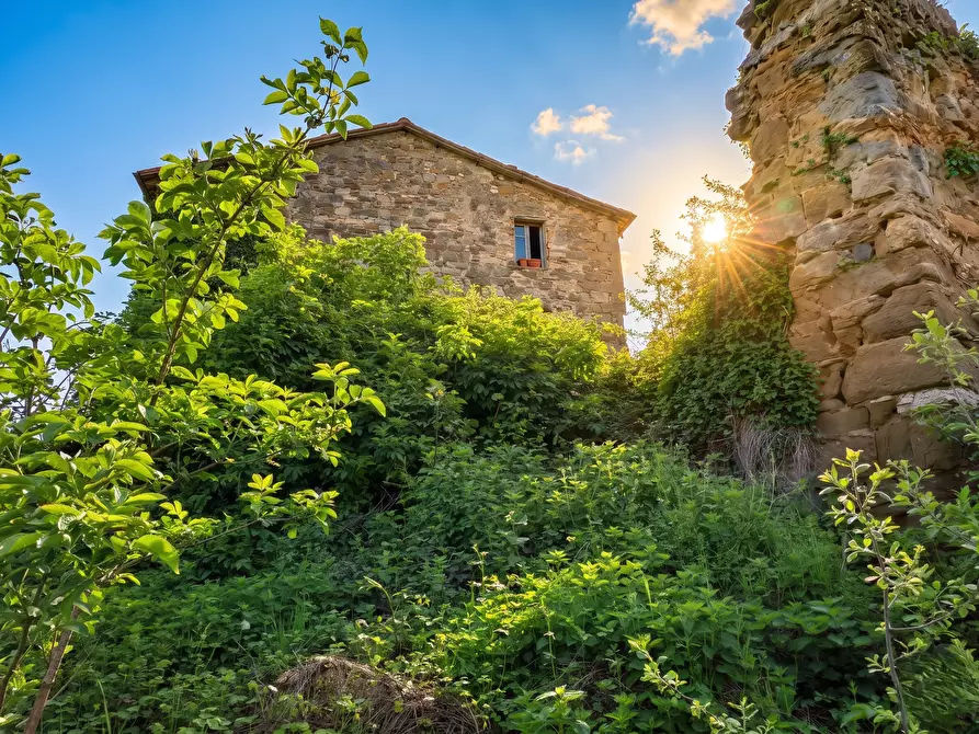 Immagine 5 di Rustico / casale in vendita  in Località Valle 6 a Sant'agata Feltria
