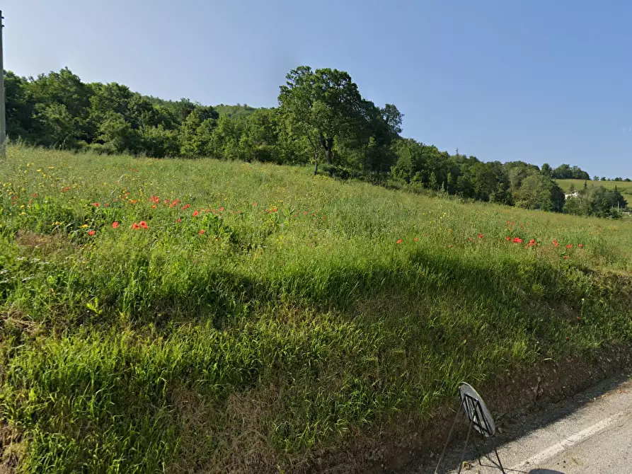Immagine 4 di Terreno agricolo in vendita  in Via Ca' di Gallo 86 a Maiolo