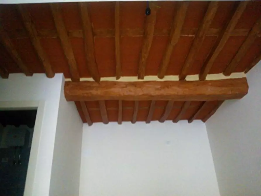 Immagine 8 di Capannone industriale in vendita  in Viale G. Puccini a Lucca