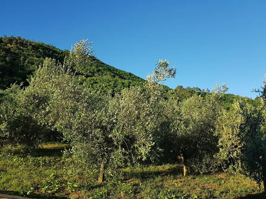 Immagine 25 di Rustico / casale in vendita  in Via di Matraia a Capannori