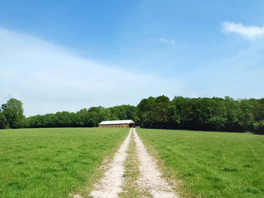 Immagine 11 di Terreno agricolo in vendita  in Via San Donato 925/A a Lucca
