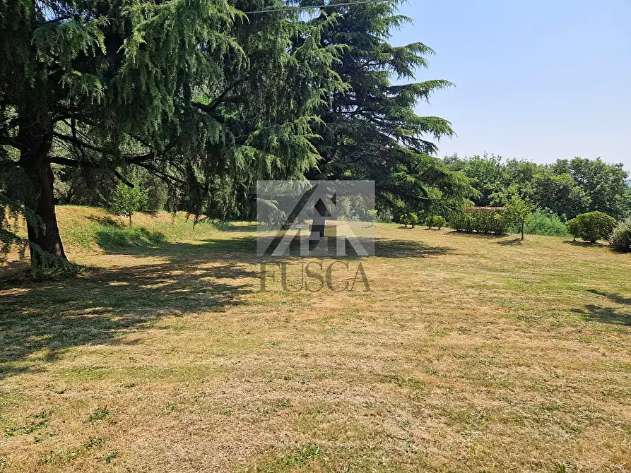 Immagine 19 di Villa in vendita  in via vecchia i a Lucca