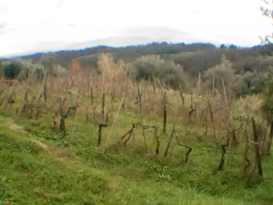 Immagine 3 di Rustico / casale in vendita  in bocconi a Lucca