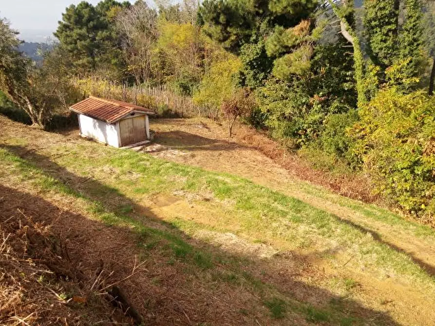 Immagine 13 di Terreno agricolo in vendita  in via di caroggia a Lucca