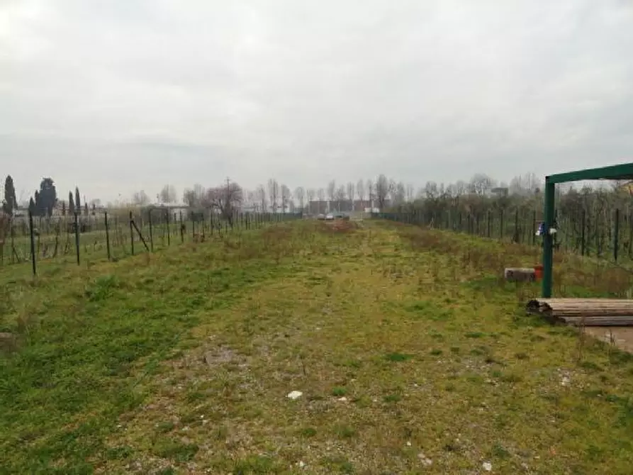 Immagine 1 di Terreno industriale in vendita  in catalani a Porcari