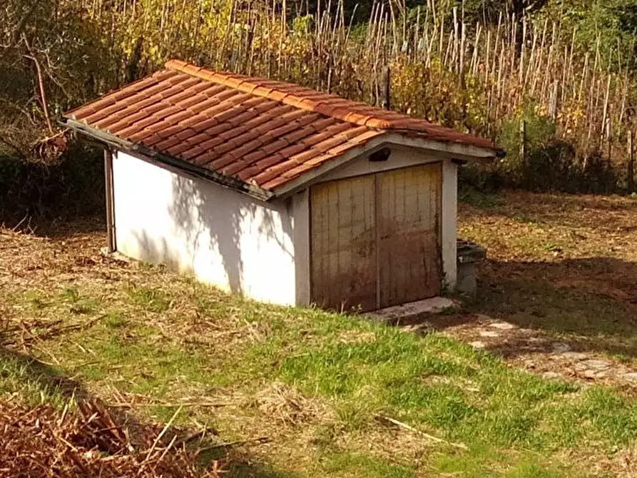 Immagine 9 di Terreno agricolo in vendita  in via di caroggia a Lucca