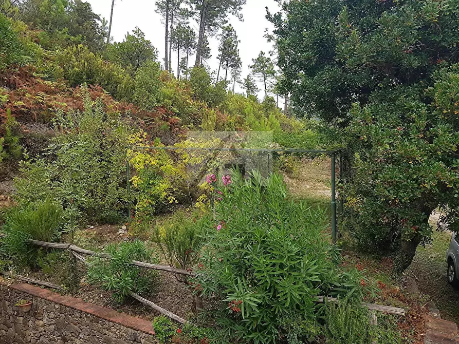 Immagine 22 di Rustico / casale in vendita  in di ronchi a Capannori