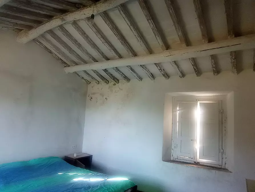 Immagine 6 di Rustico / casale in vendita  a Massarosa