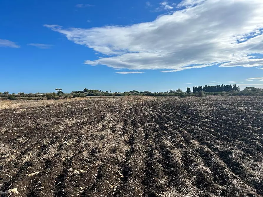 Immagine 8 di Terreno agricolo in vendita  a Siracusa