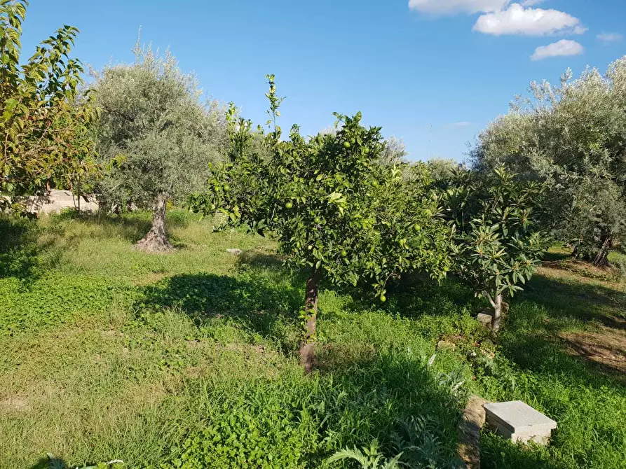 Immagine 1 di Terreno edificabile in vendita  a Siracusa