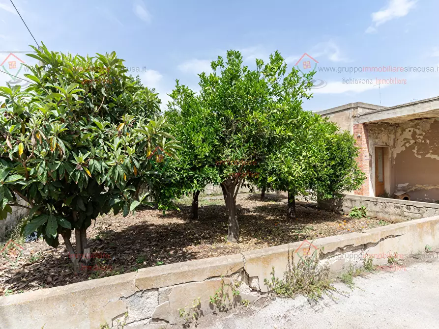 Immagine 3 di Casa bifamiliare in vendita  a Siracusa