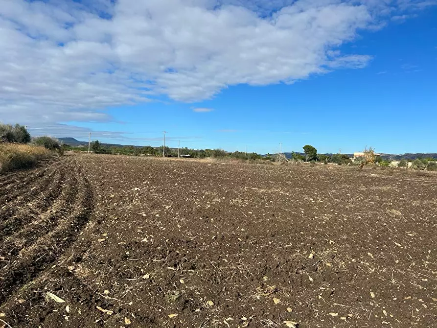 Immagine 1 di Terreno agricolo in vendita  a Siracusa