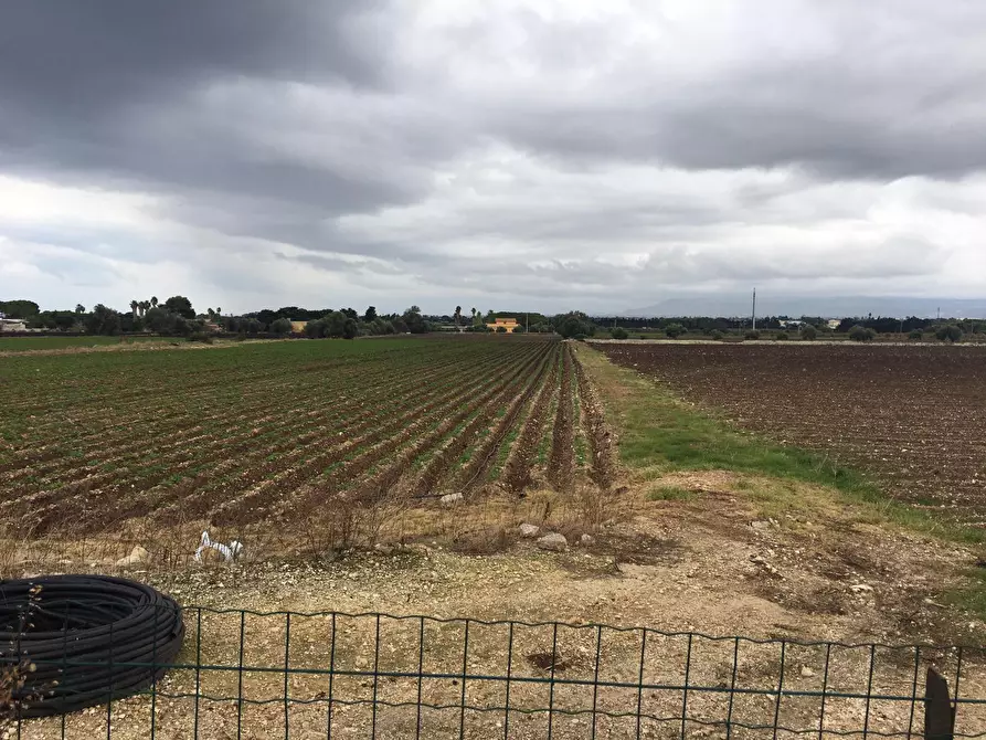 Immagine 2 di Terreno agricolo in vendita  a Siracusa