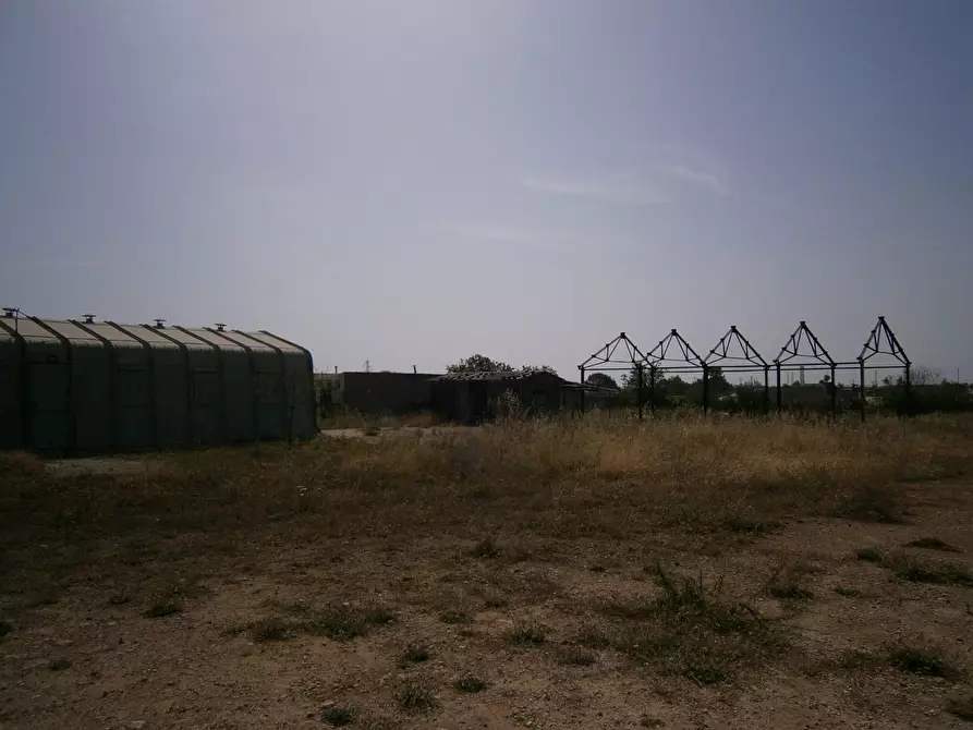 Immagine 5 di Terreno agricolo in affitto  a Priolo Gargallo