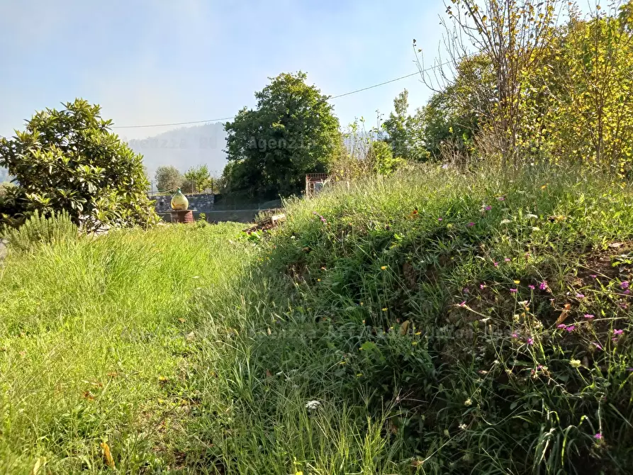 Immagine 11 di Rustico / casale in vendita  a Arcola