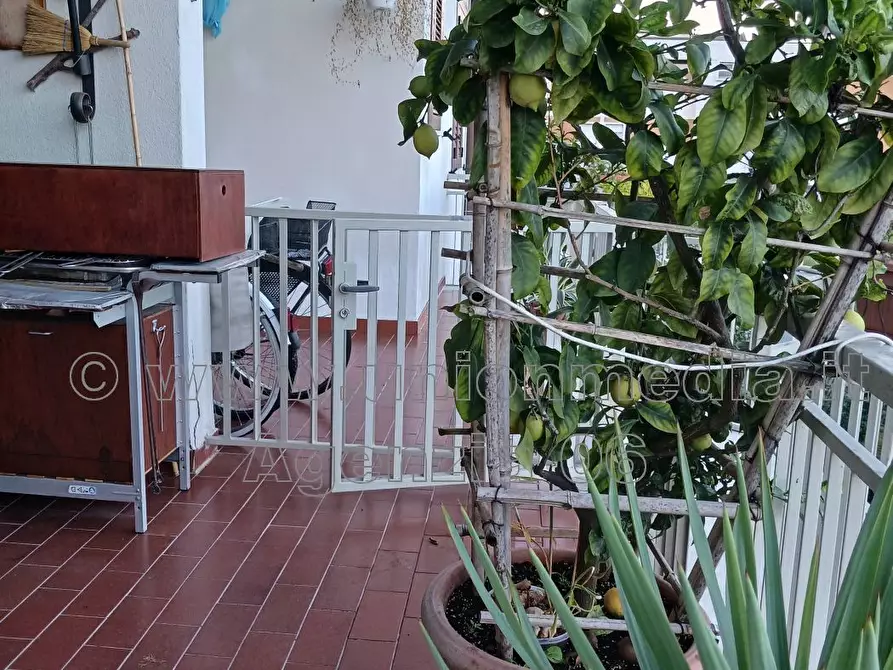 Immagine 23 di Appartamento in vendita  a Ortonovo