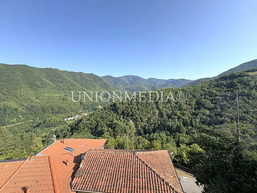 Immagine 40 di Casa semindipendente in vendita  in via della costa 19 a Sesta Godano