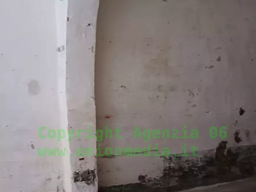 Immagine 5 di Capannone industriale in vendita  a Arcola