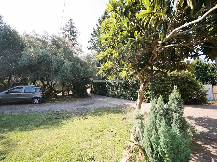 Immagine 18 di Casa indipendente in vendita  a Sarzana