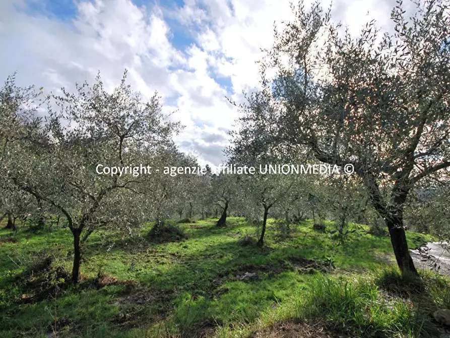 Immagine 2 di Rustico / casale in vendita  a Santo Stefano Di Magra
