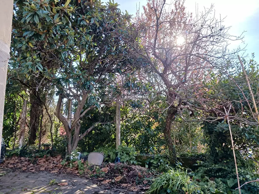 Immagine 18 di Casa indipendente in vendita  a Arcola