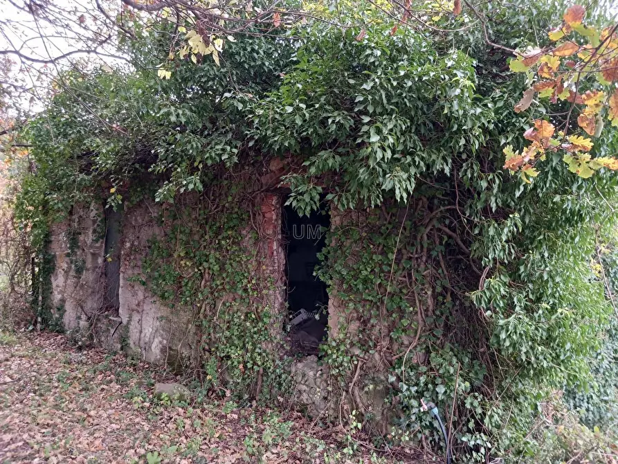 Immagine 15 di Casa indipendente in vendita  a Arcola