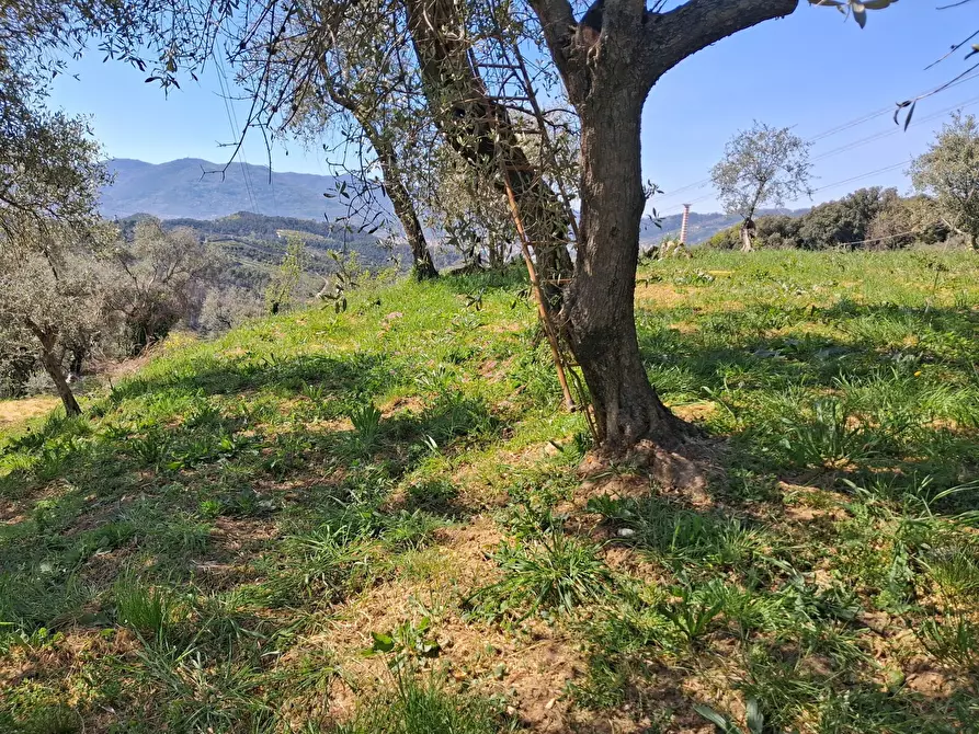 Immagine 5 di Casa semindipendente in vendita  a Arcola