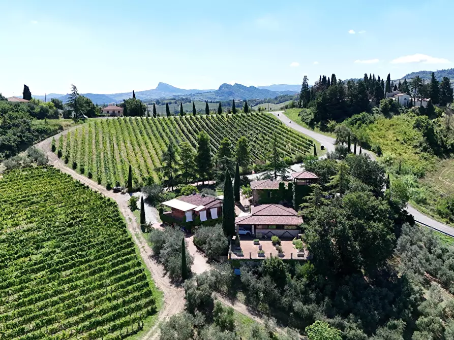 Immagine 10 di Casa indipendente in vendita  in Via Roma 14A a Borghi