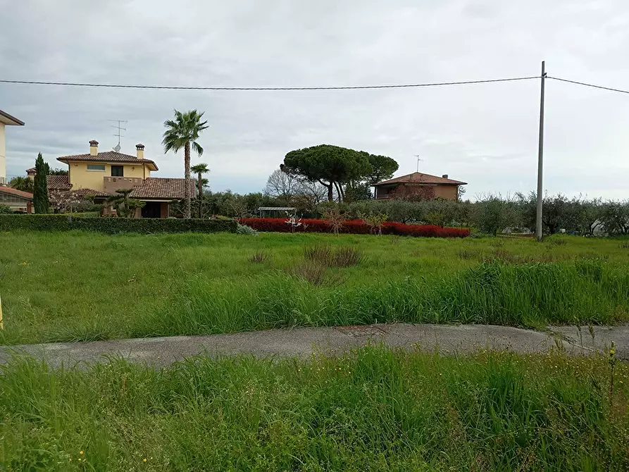 Immagine 4 di Terreno agricolo in vendita  a Verucchio