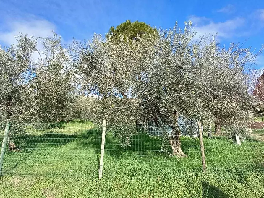 Immagine 43 di Casa indipendente in vendita  in Via Santa Cristina 137A a Rimini