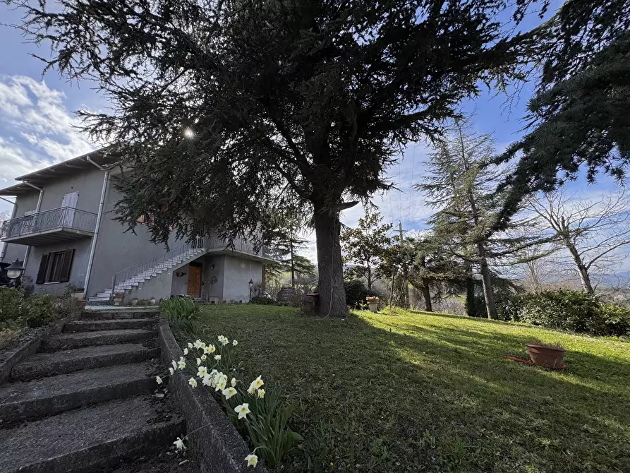 Immagine 1 di Casa bifamiliare in vendita  a Maiolo
