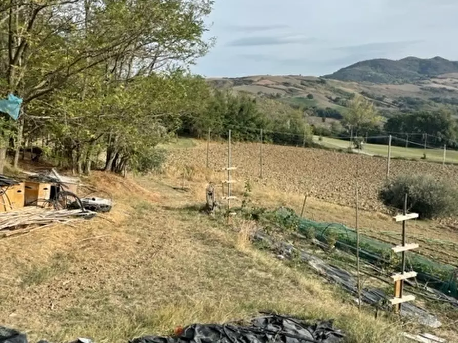 Immagine 4 di Rustico / casale in vendita  in Via San Paolo 5 a Sogliano Al Rubicone