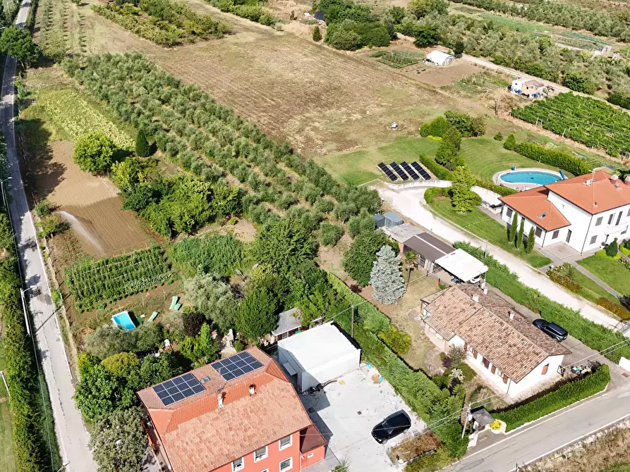 Immagine 36 di Villa in vendita  in Via Laerte Rolfini a Rimini