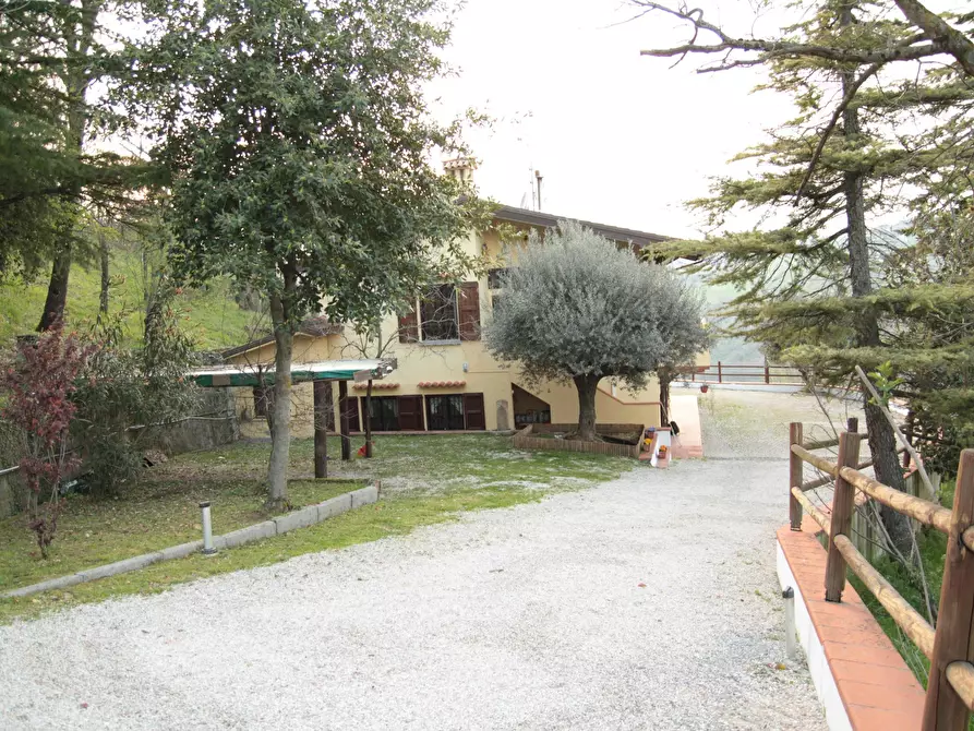 Immagine 15 di Villa in vendita  in Via Tomassini 18 a Borghi