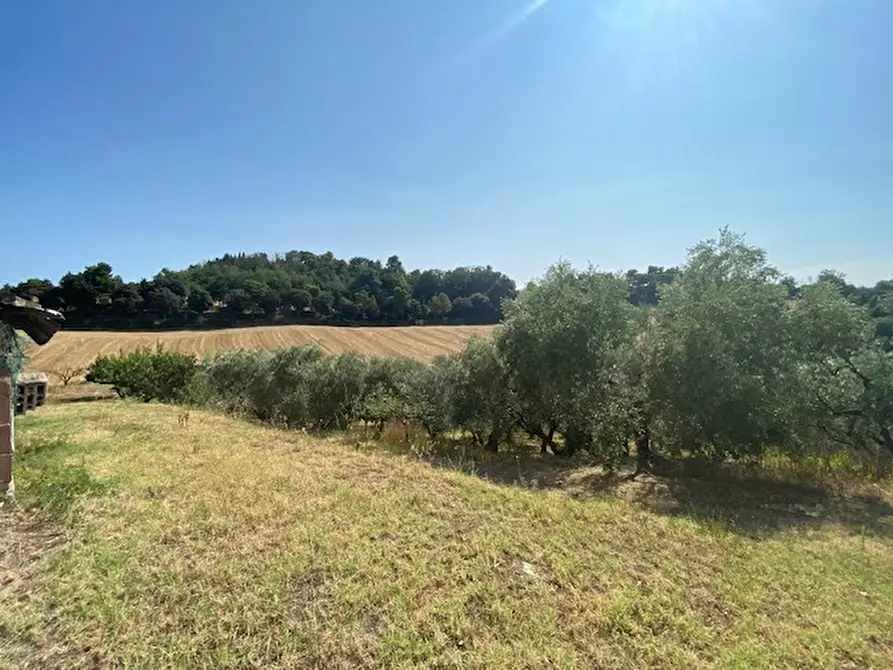 Immagine 31 di Rustico / casale in vendita  in Via Sant'Andrea in Villis a Fano
