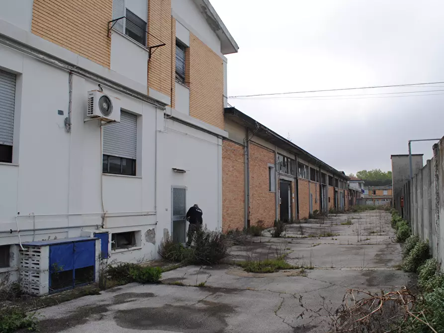 Immagine 7 di Attività artigianale in vendita  in Via Jesi a Pesaro